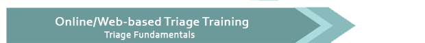 Online Triage Training